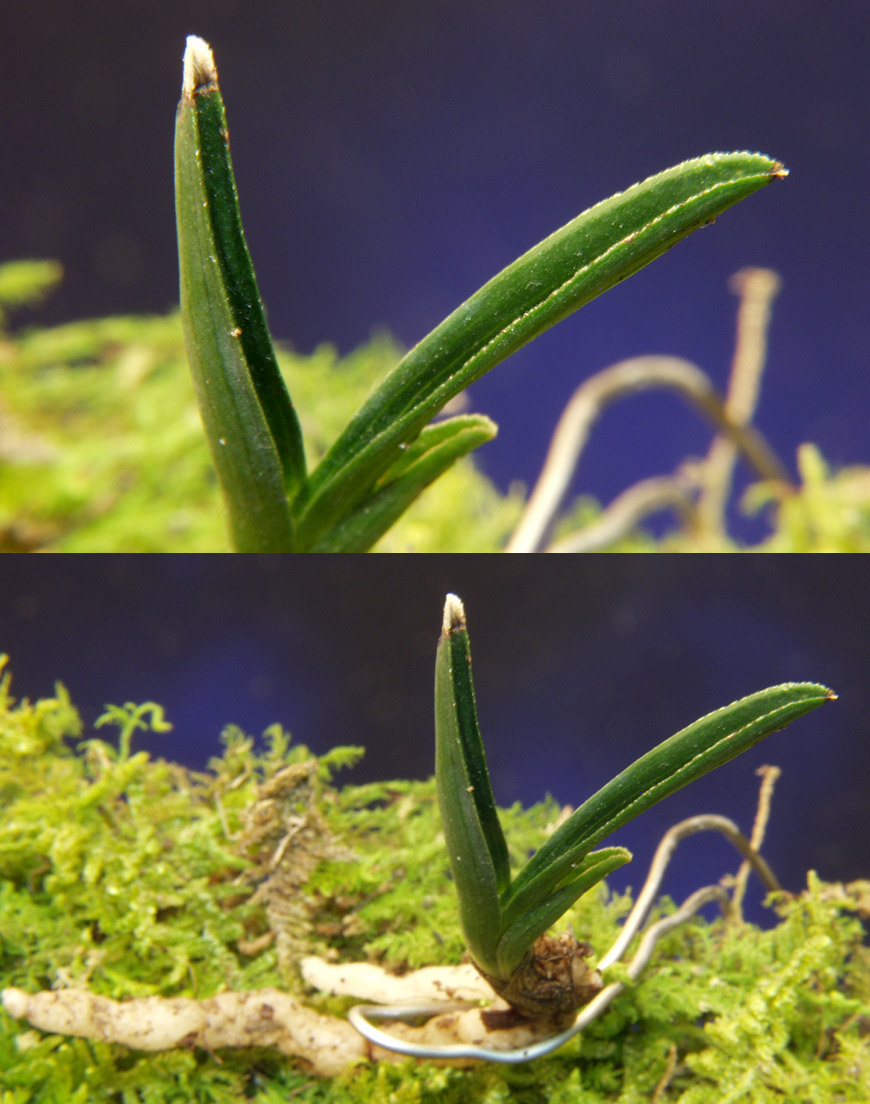 ������ ū������ �� �� �ֽ��ϴ�.