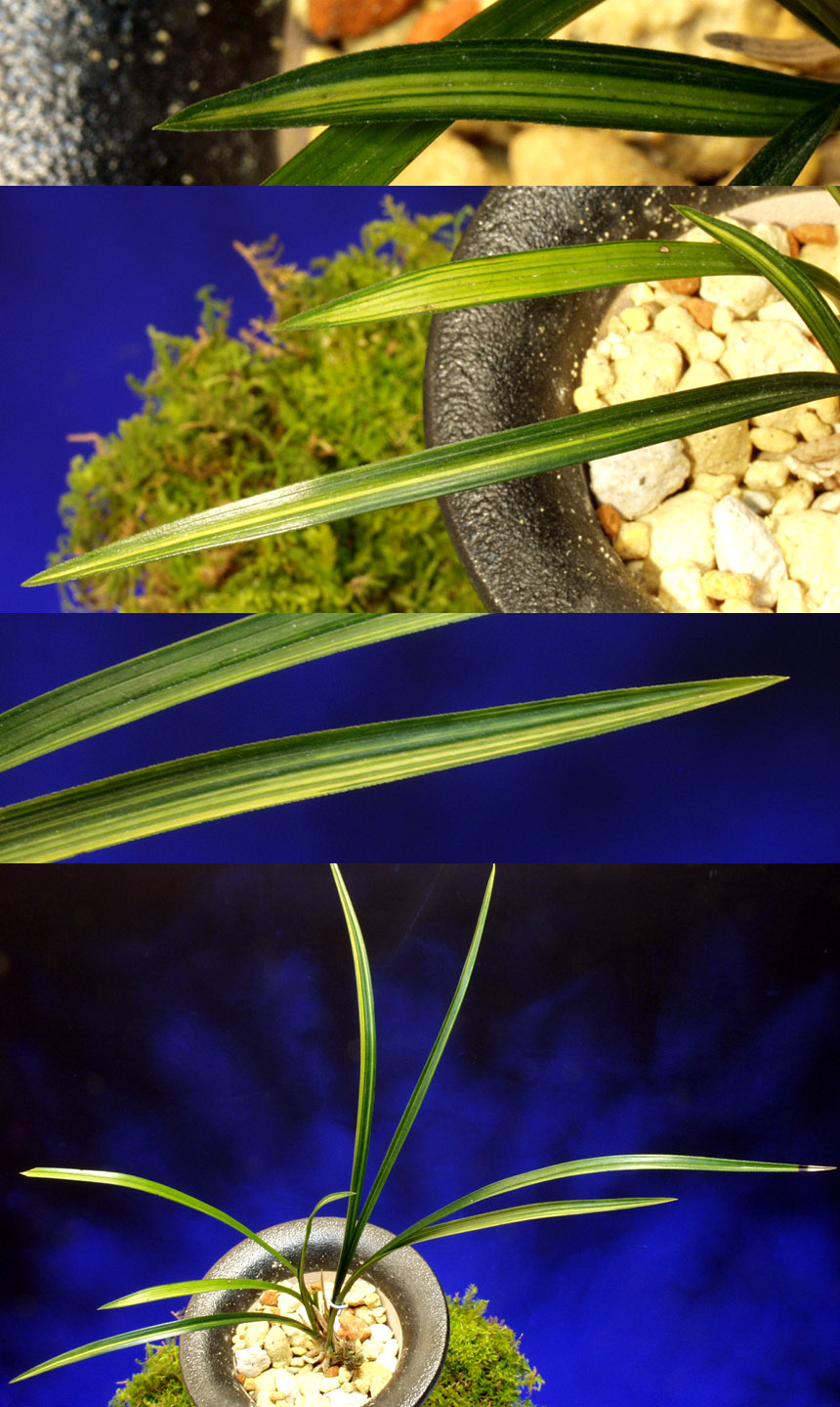 ������ ū������ �� �� �ֽ��ϴ�.