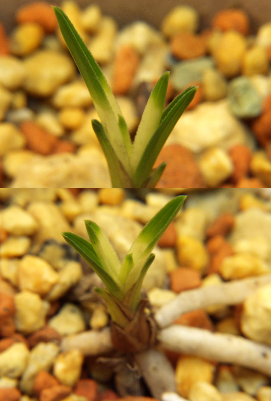 ������ ū������ �� �� �ֽ��ϴ�.