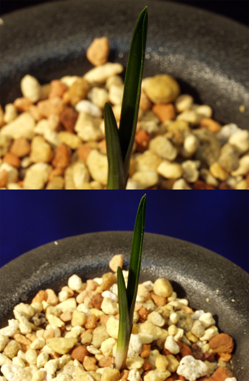 ������ ū������ �� �� �ֽ��ϴ�.