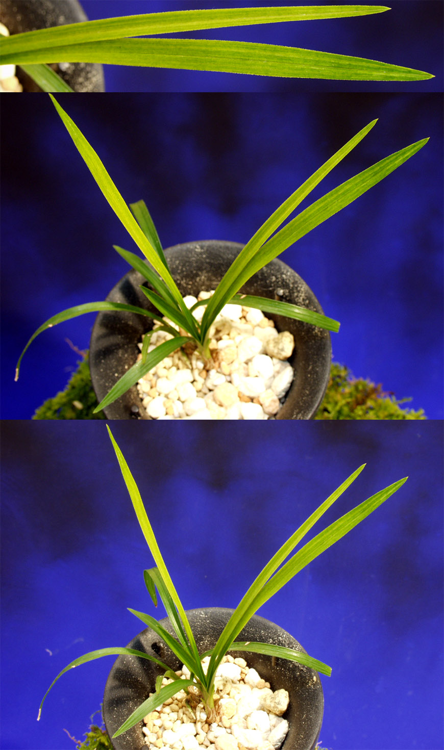 ������ ū������ �� �� �ֽ��ϴ�.