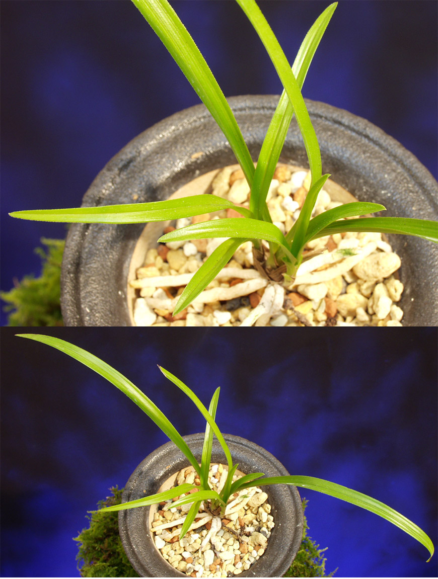 ������ ū������ �� �� �ֽ��ϴ�.