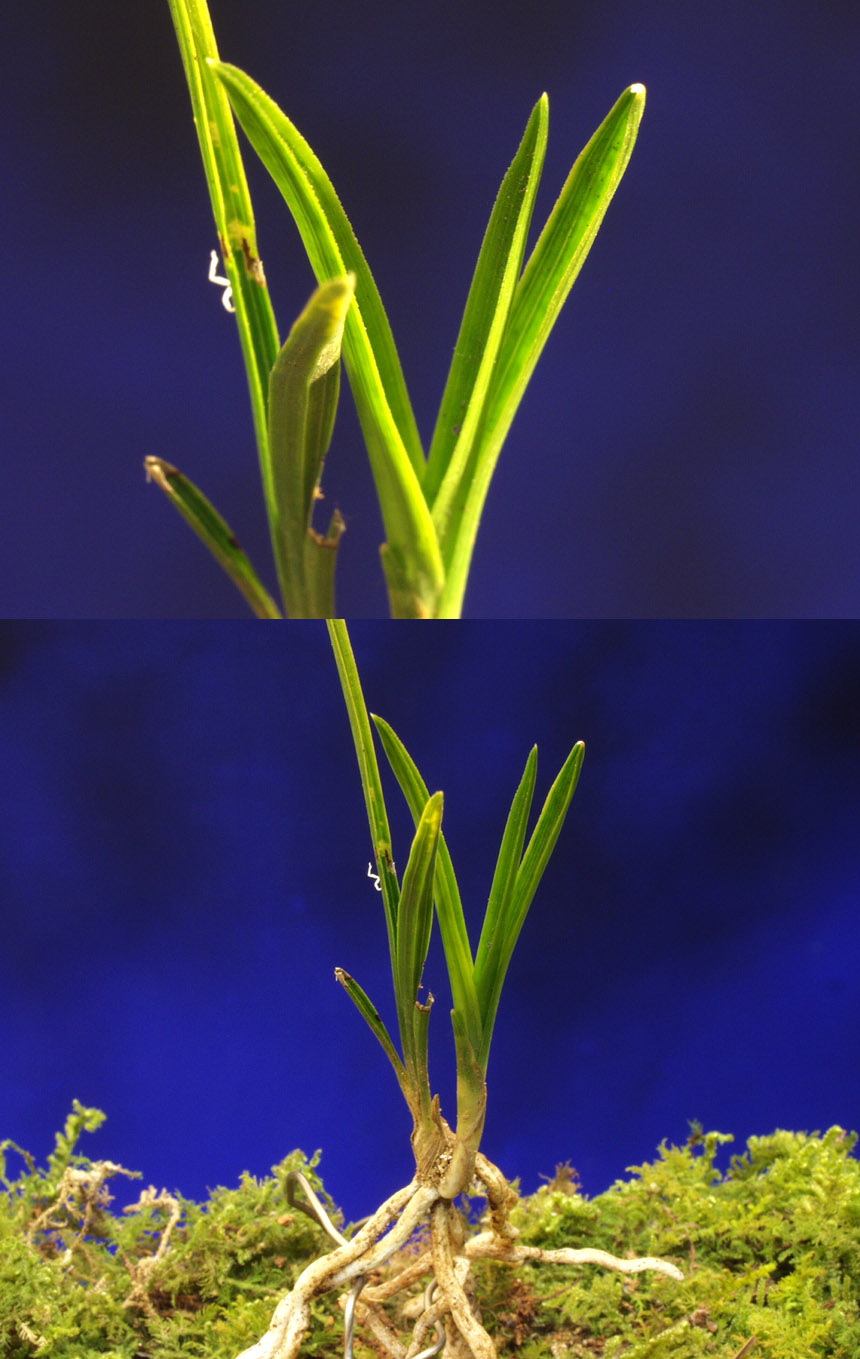 ������ ū������ �� �� �ֽ��ϴ�.