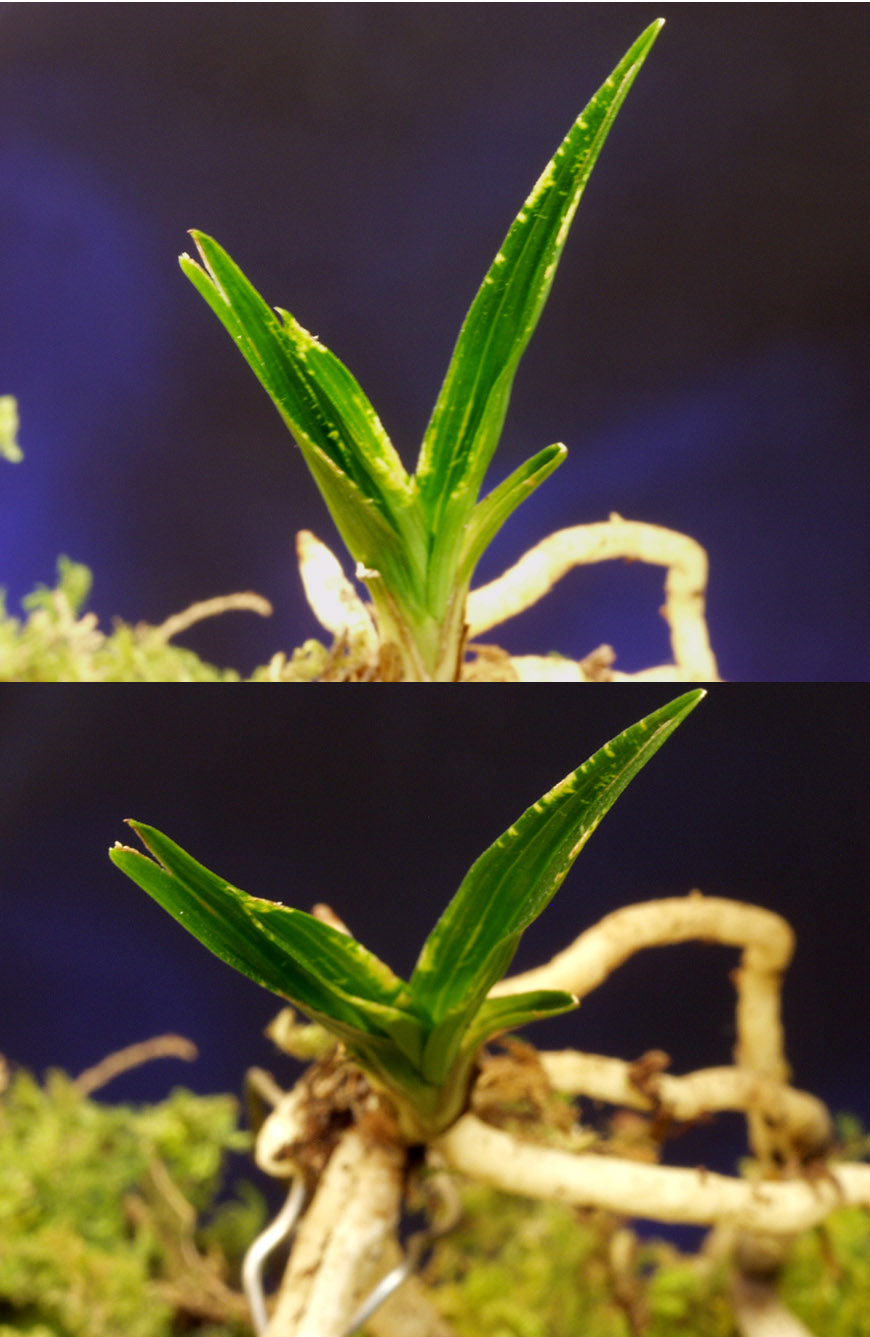 ������ ū������ �� �� �ֽ��ϴ�.