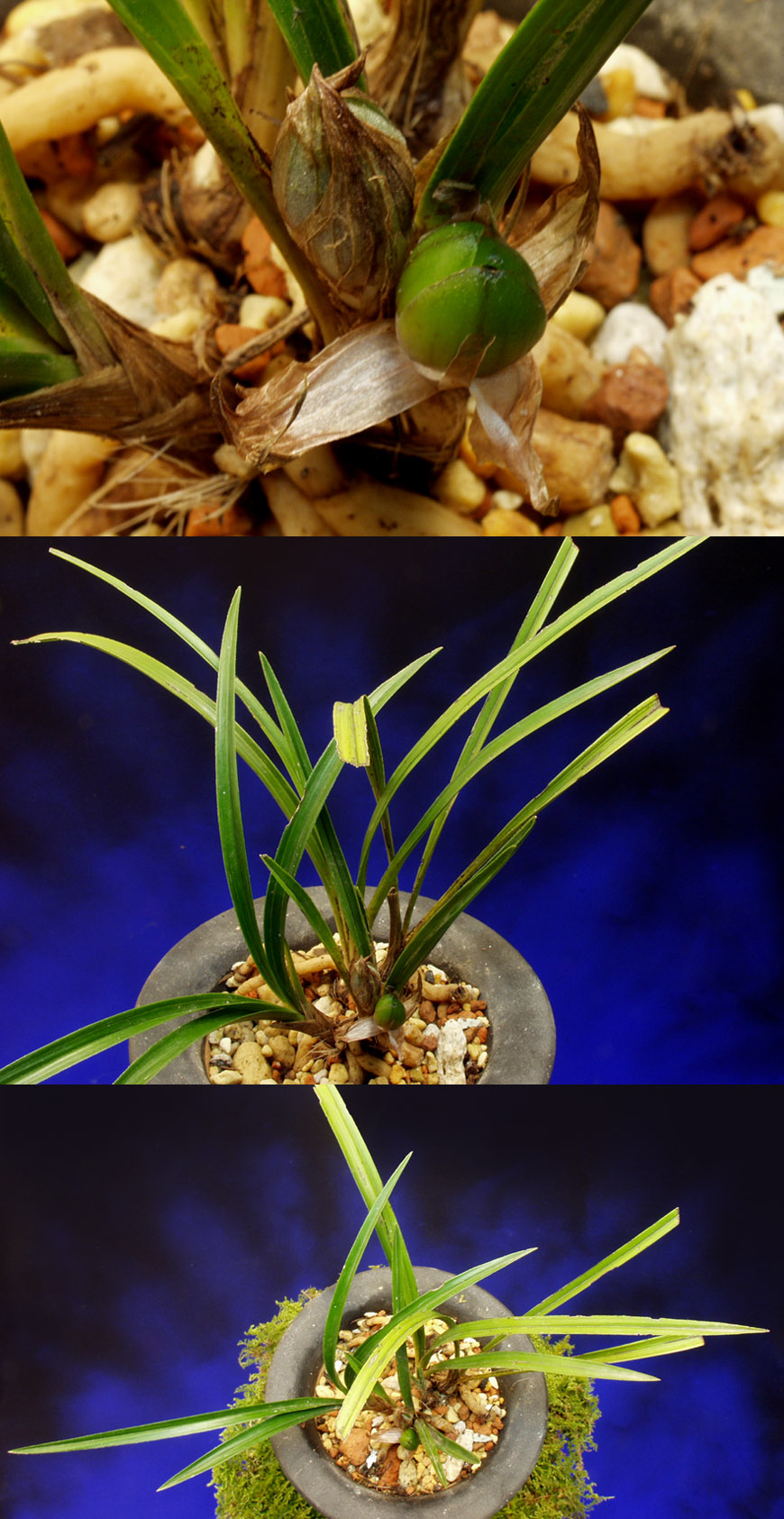 ������ ū������ �� �� �ֽ��ϴ�.