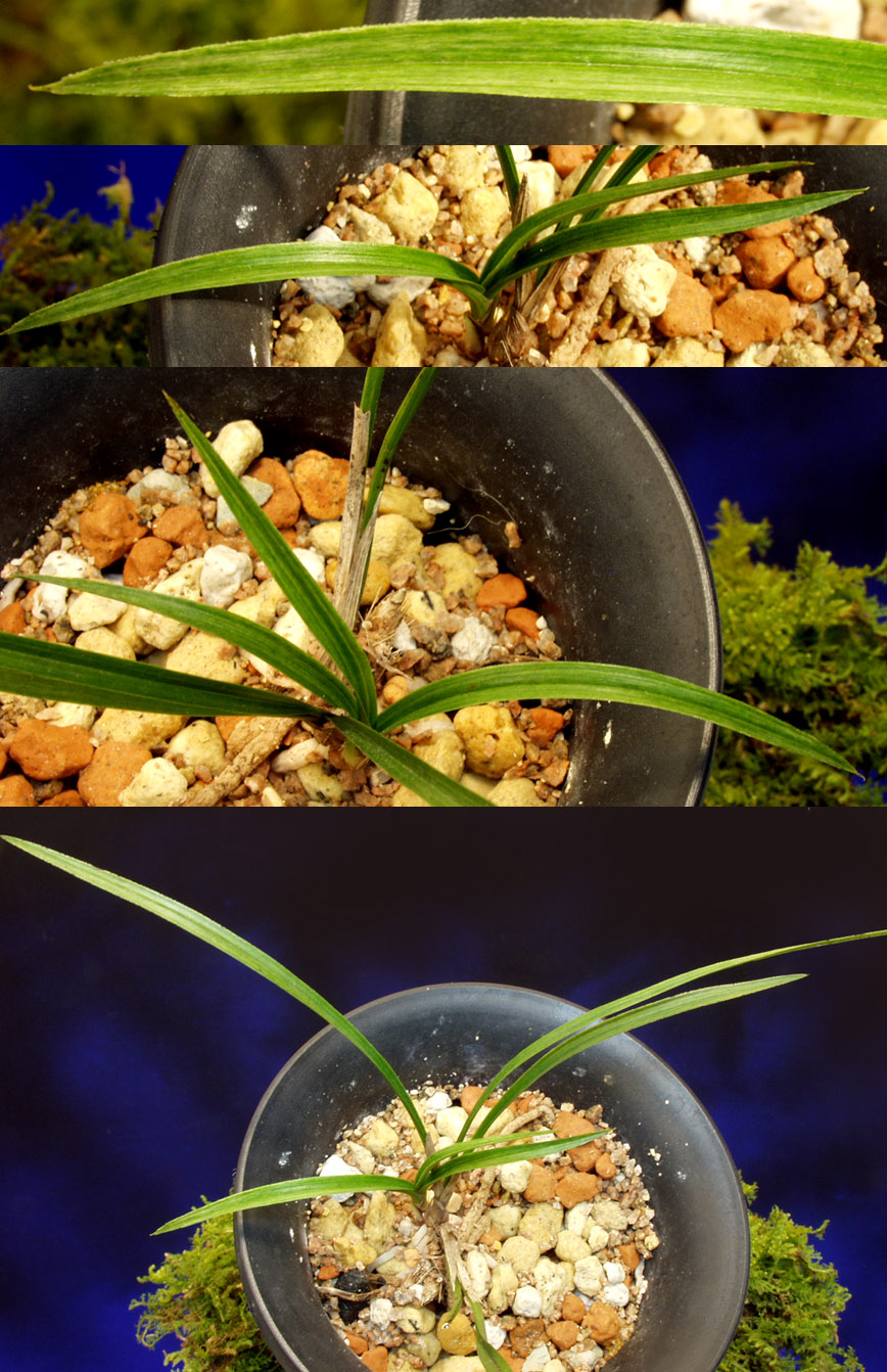 ������ ū������ �� �� �ֽ��ϴ�.