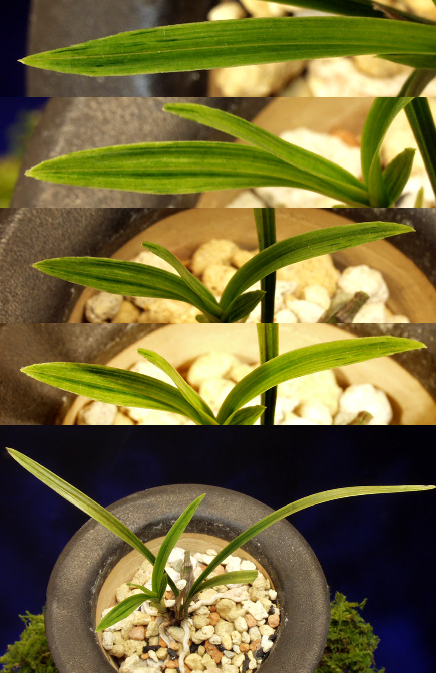 ������ ū������ �� �� �ֽ��ϴ�.