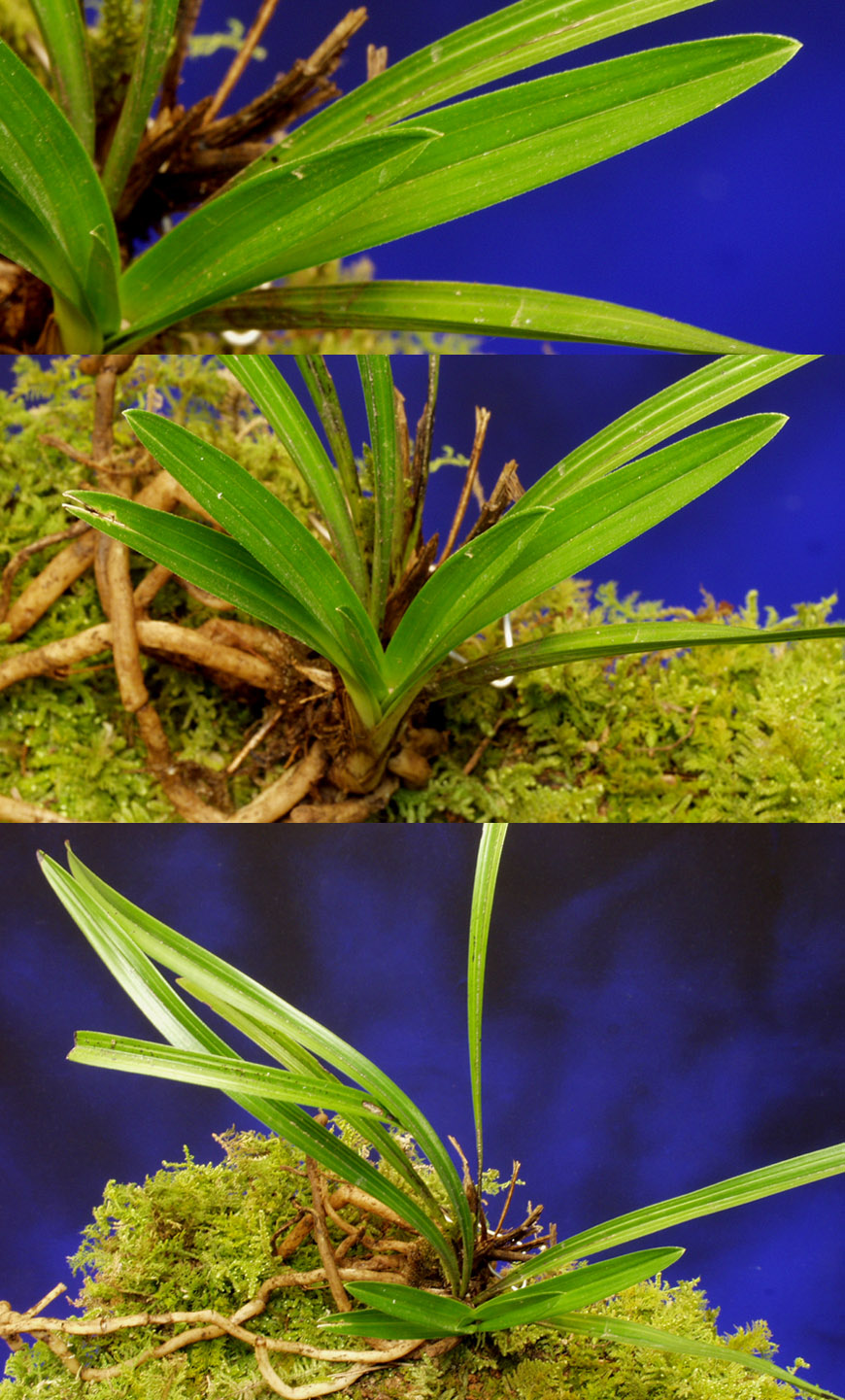 ������ ū������ �� �� �ֽ��ϴ�.