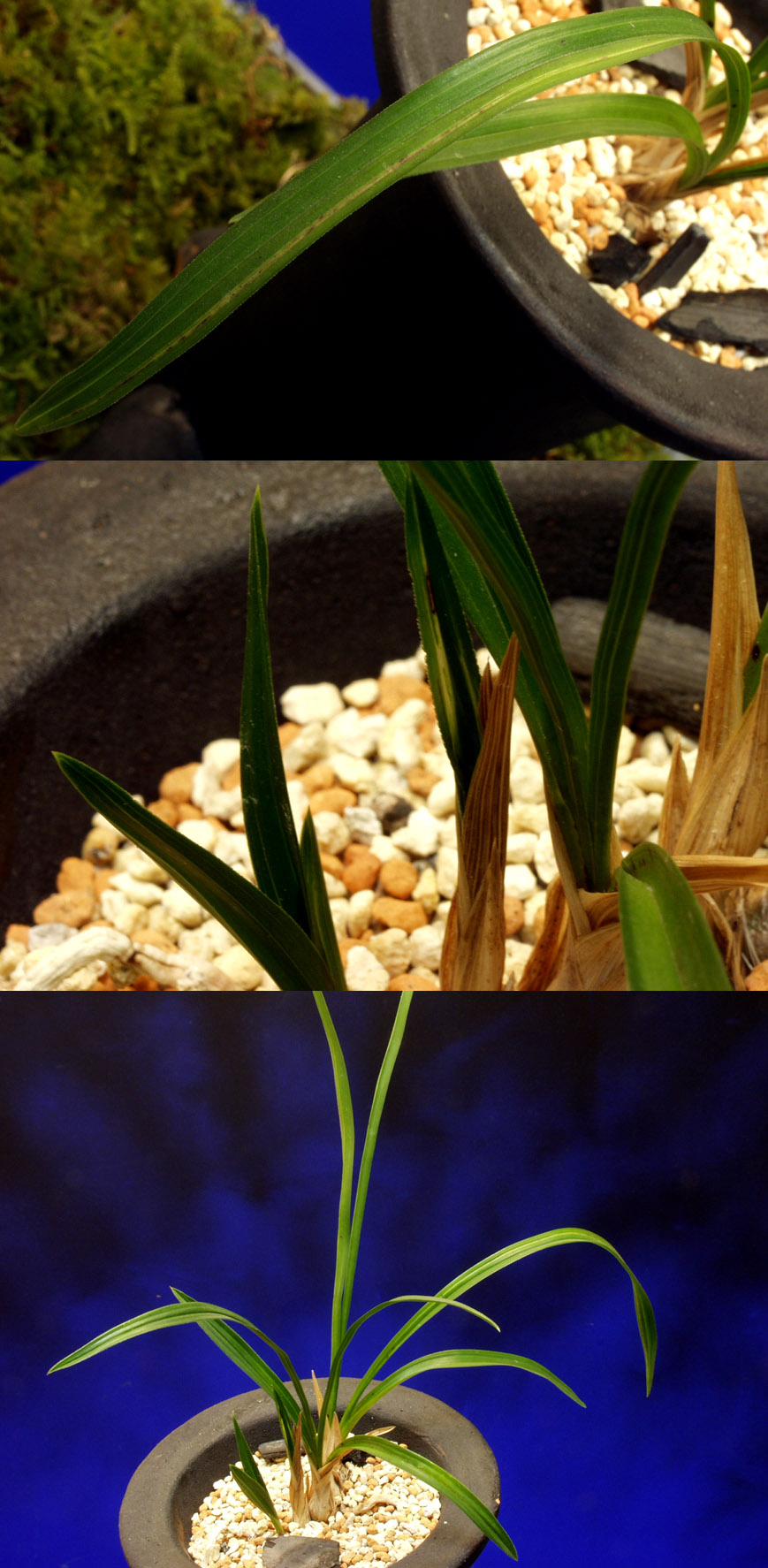 ������ ū������ �� �� �ֽ��ϴ�.