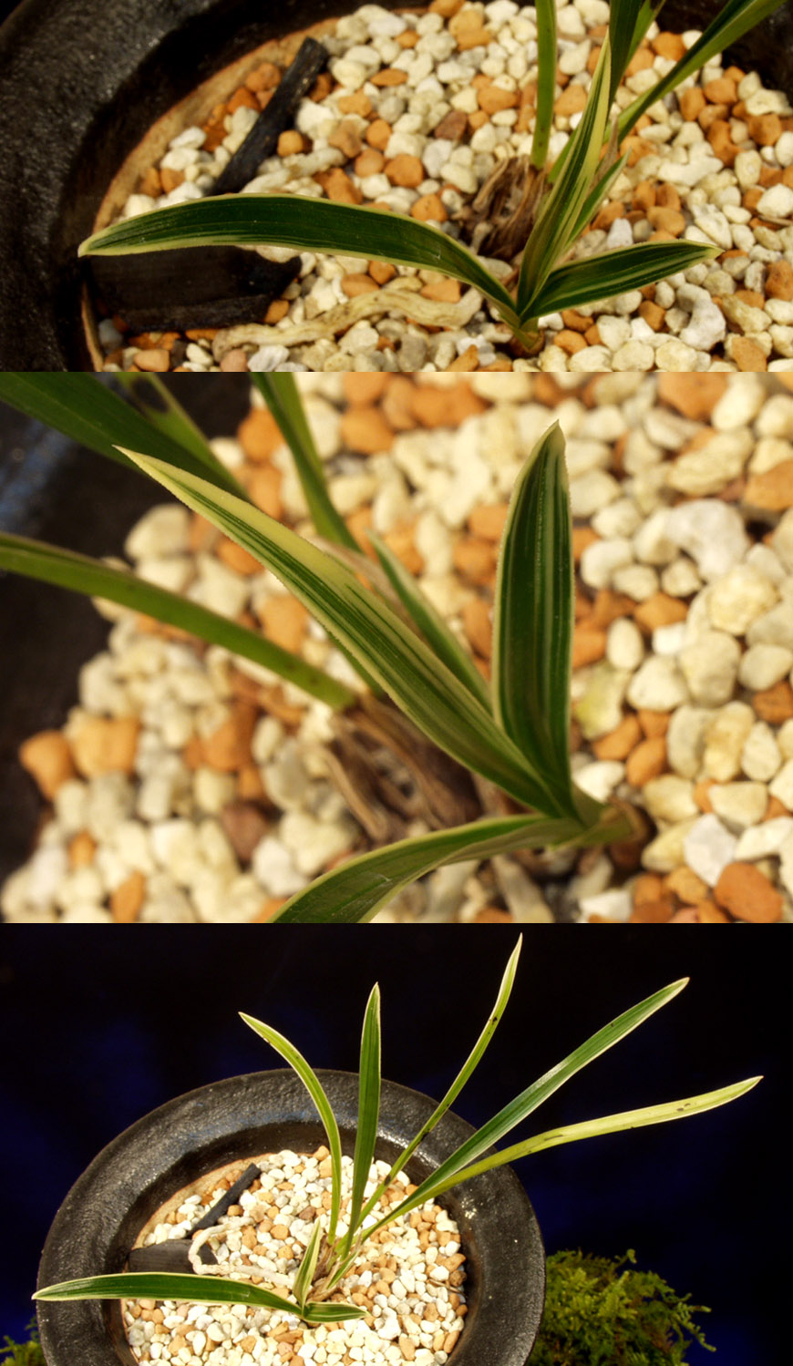 ������ ū������ �� �� �ֽ��ϴ�.