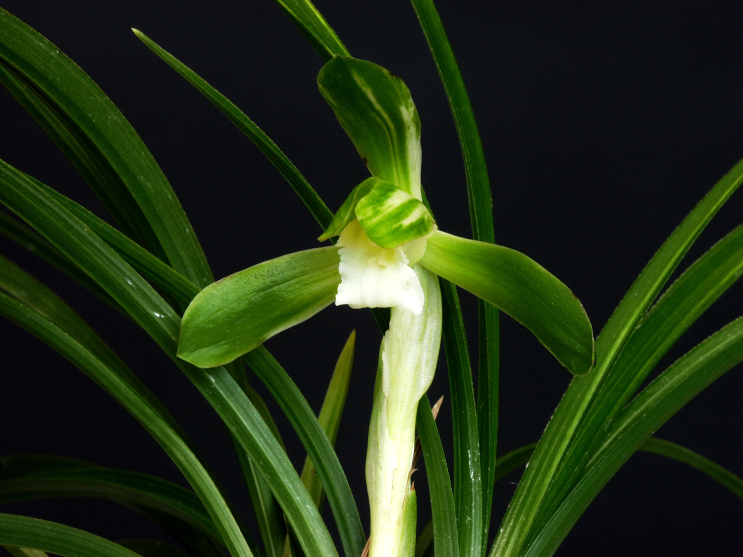 ������ ū������ �� �� �ֽ��ϴ�.