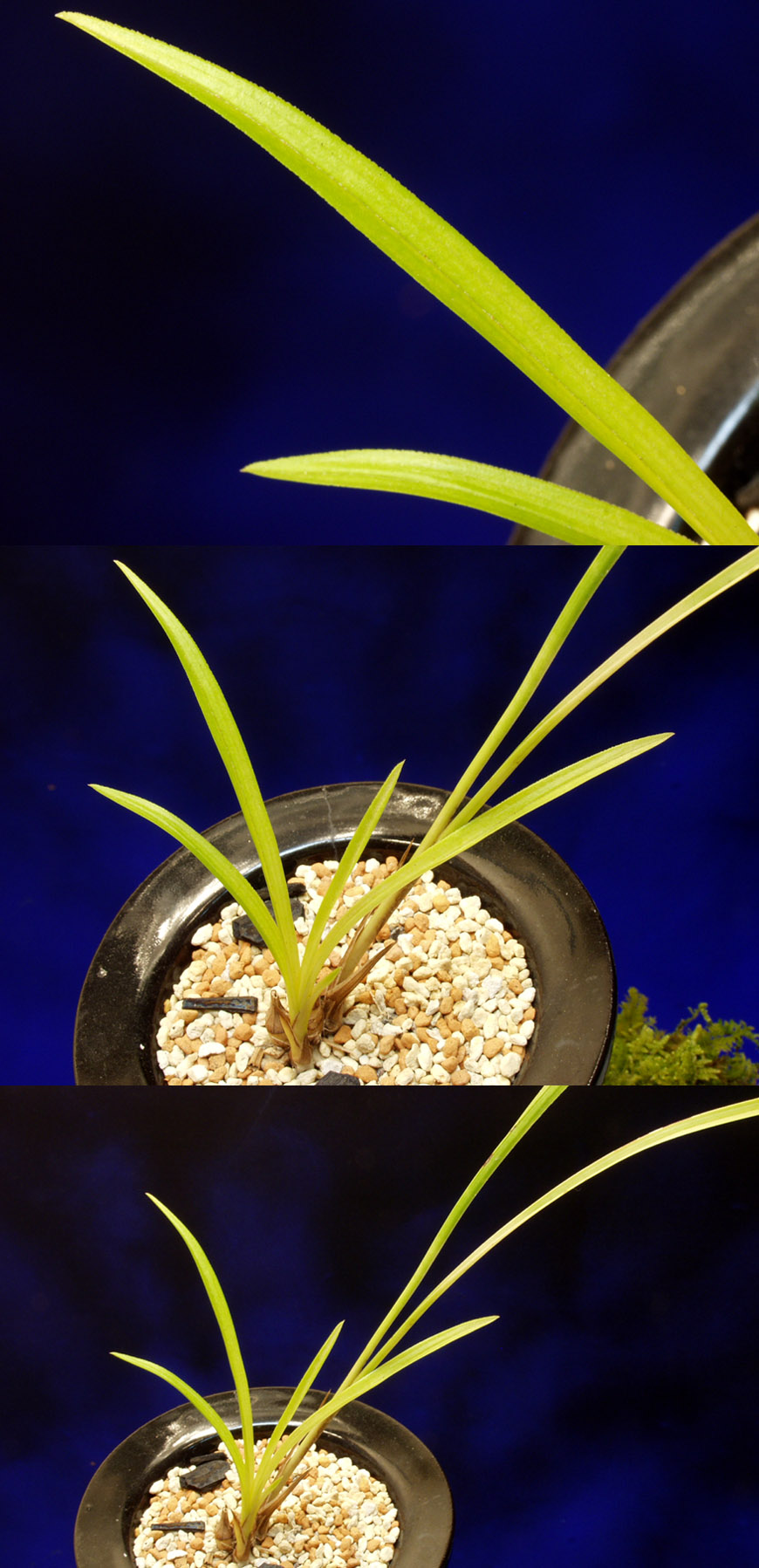 ������ ū������ �� �� �ֽ��ϴ�.