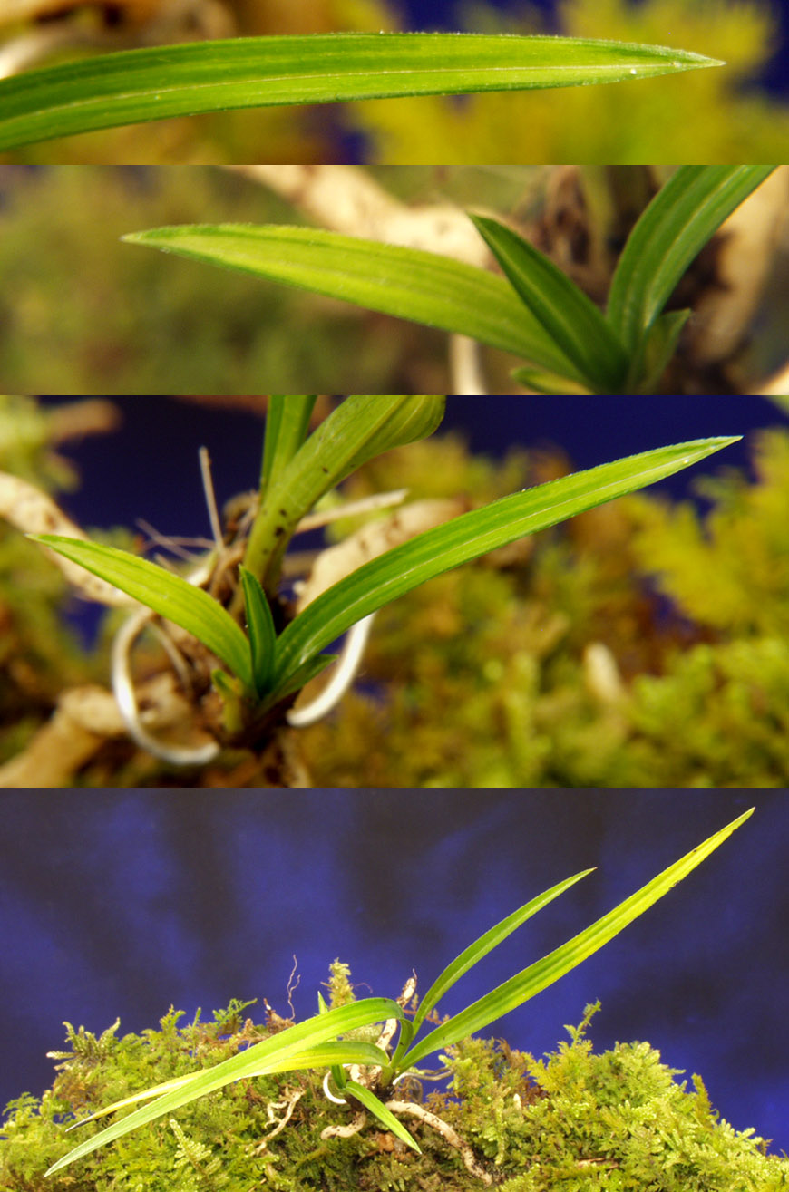 ������ ū������ �� �� �ֽ��ϴ�.