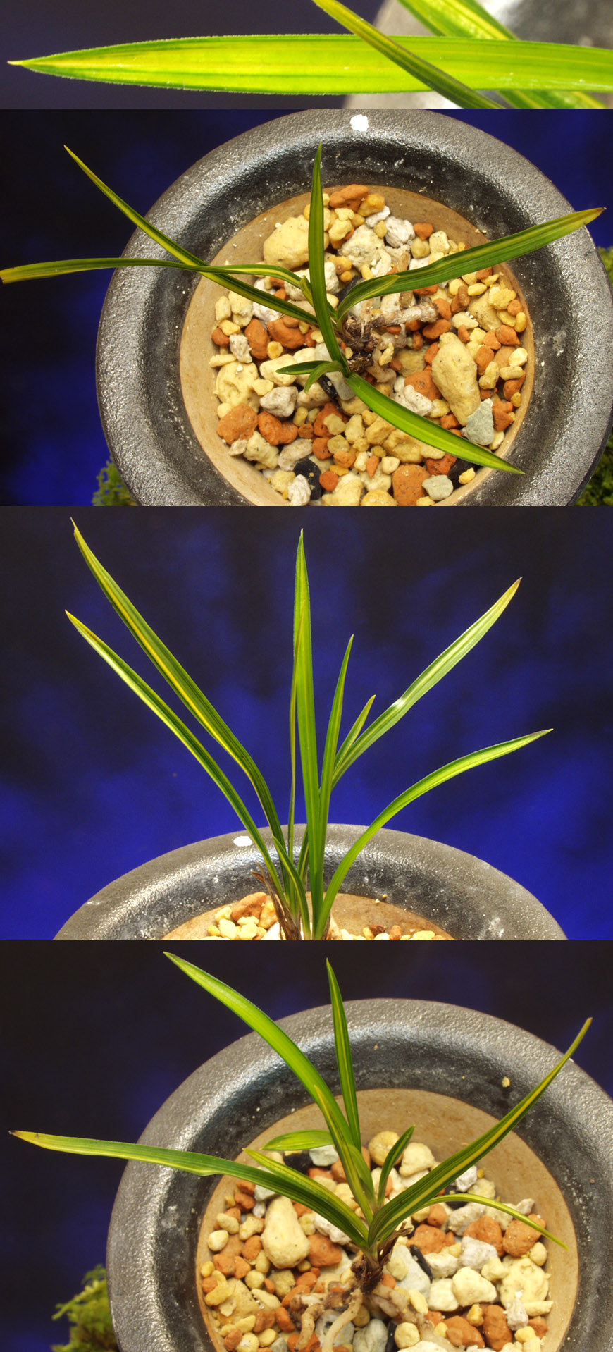 ������ ū������ �� �� �ֽ��ϴ�.