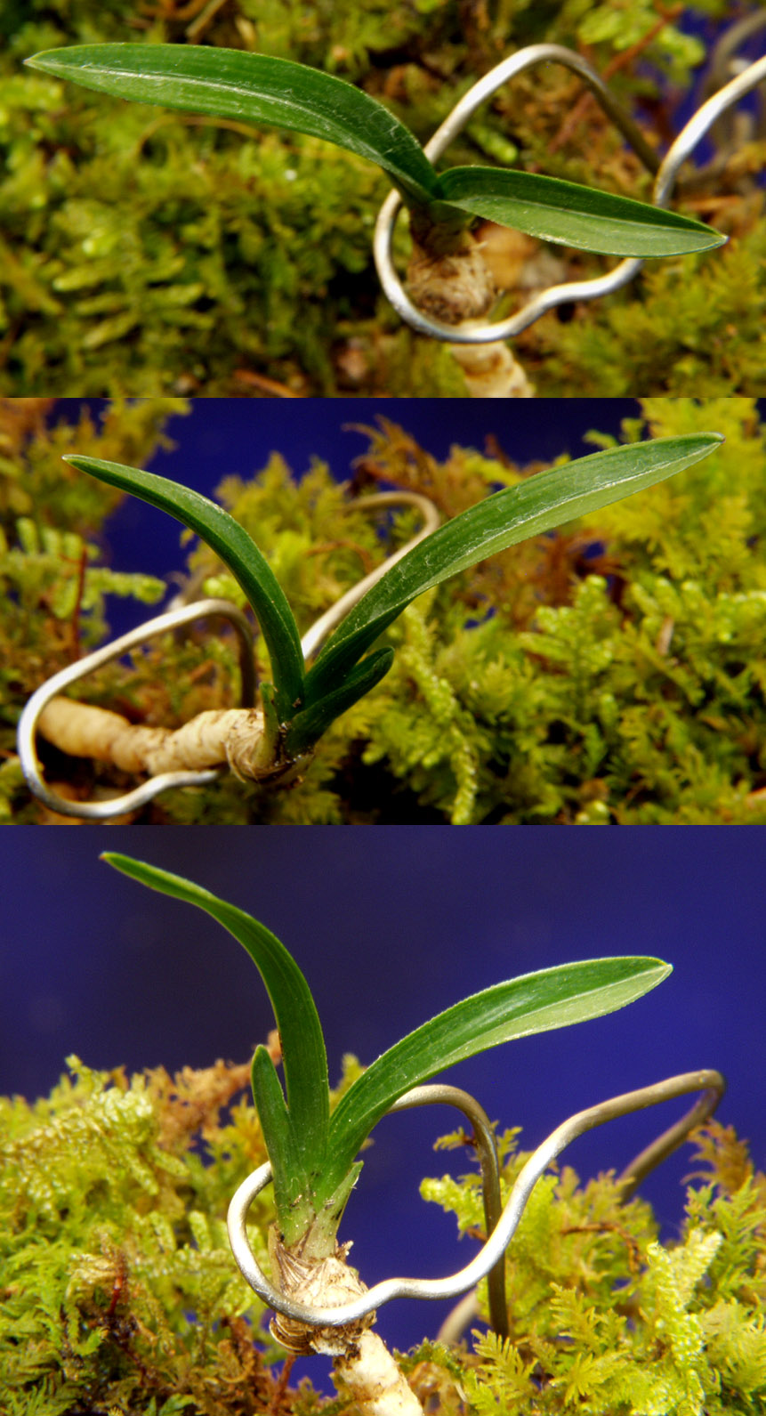 ������ ū������ �� �� �ֽ��ϴ�.