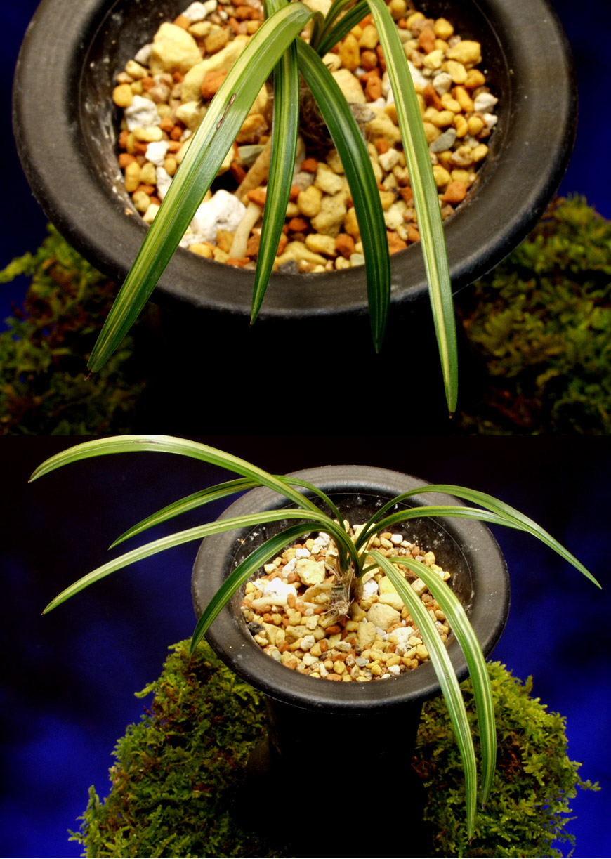 ������ ū������ �� �� �ֽ��ϴ�.