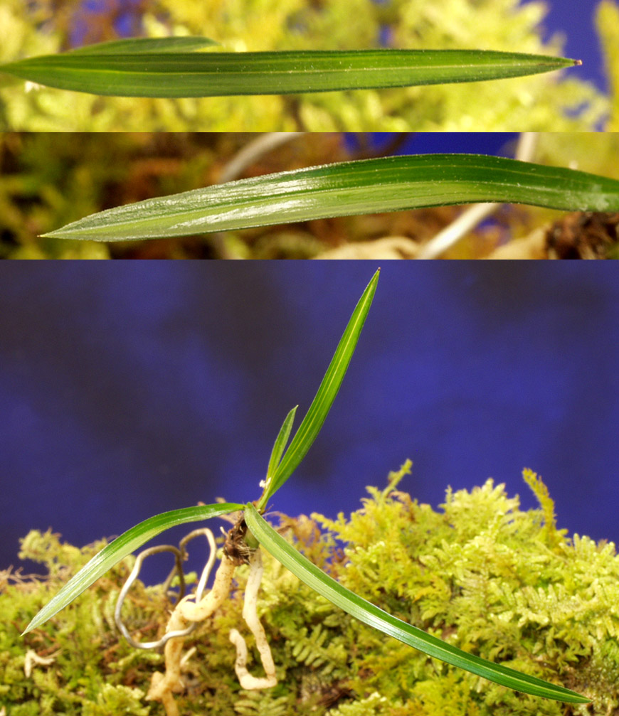 ������ ū������ �� �� �ֽ��ϴ�.