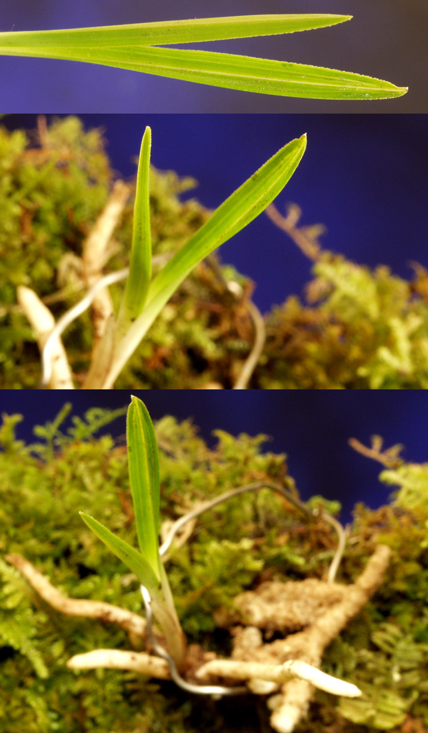 ������ ū������ �� �� �ֽ��ϴ�.