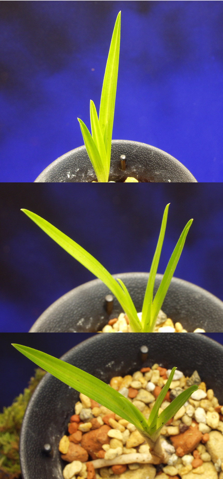 ������ ū������ �� �� �ֽ��ϴ�.