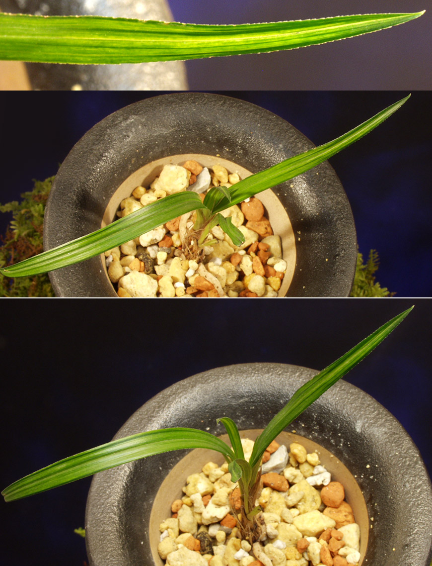 ������ ū������ �� �� �ֽ��ϴ�.