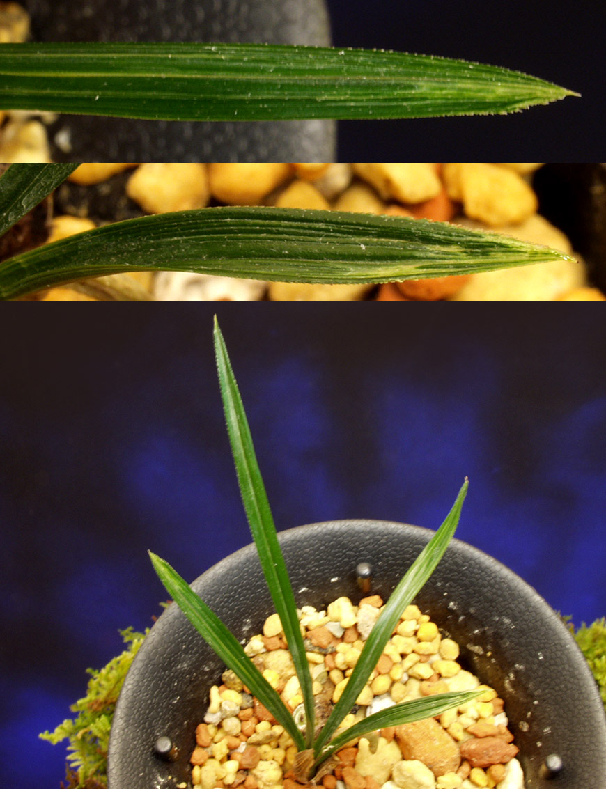 ������ ū������ �� �� �ֽ��ϴ�.