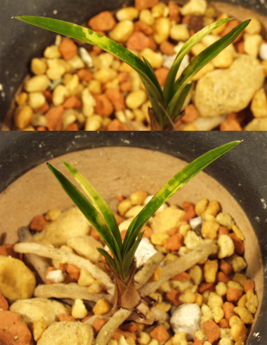 ������ ū������ �� �� �ֽ��ϴ�.