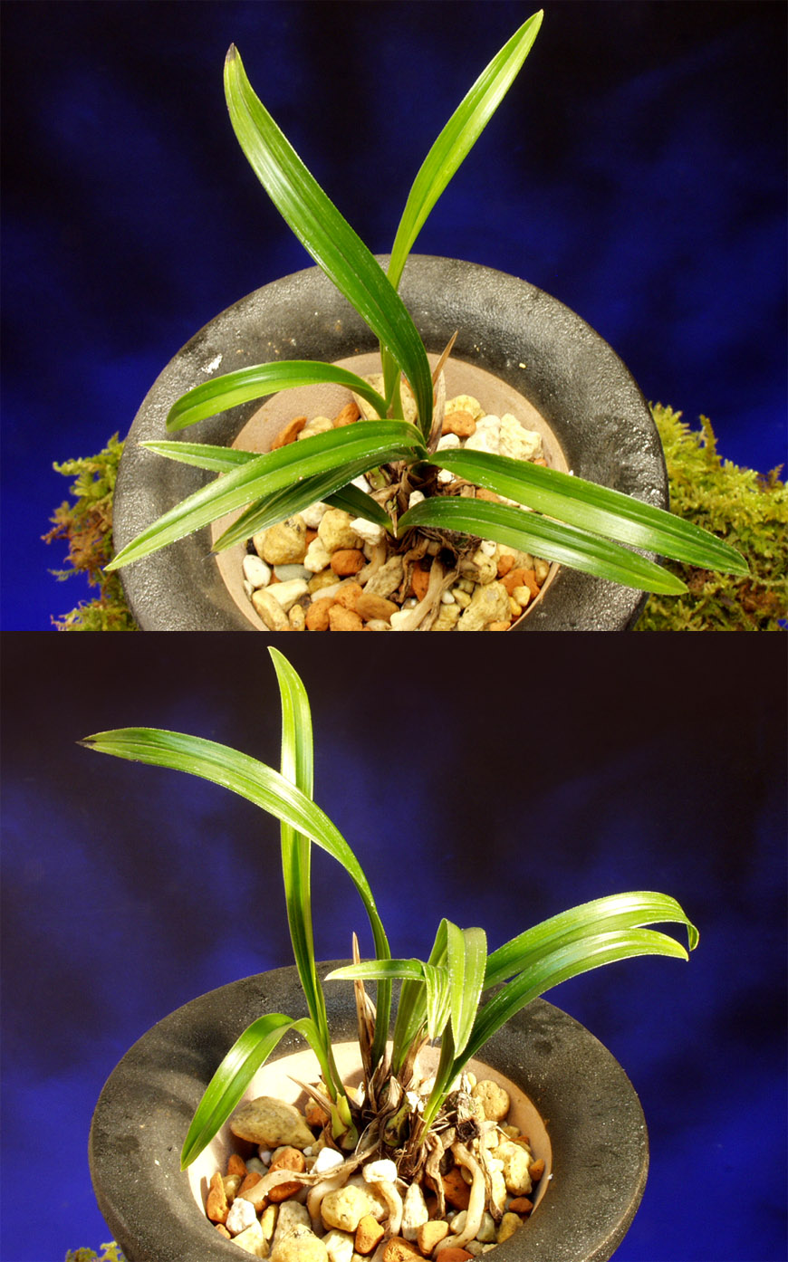 ������ ū������ �� �� �ֽ��ϴ�.