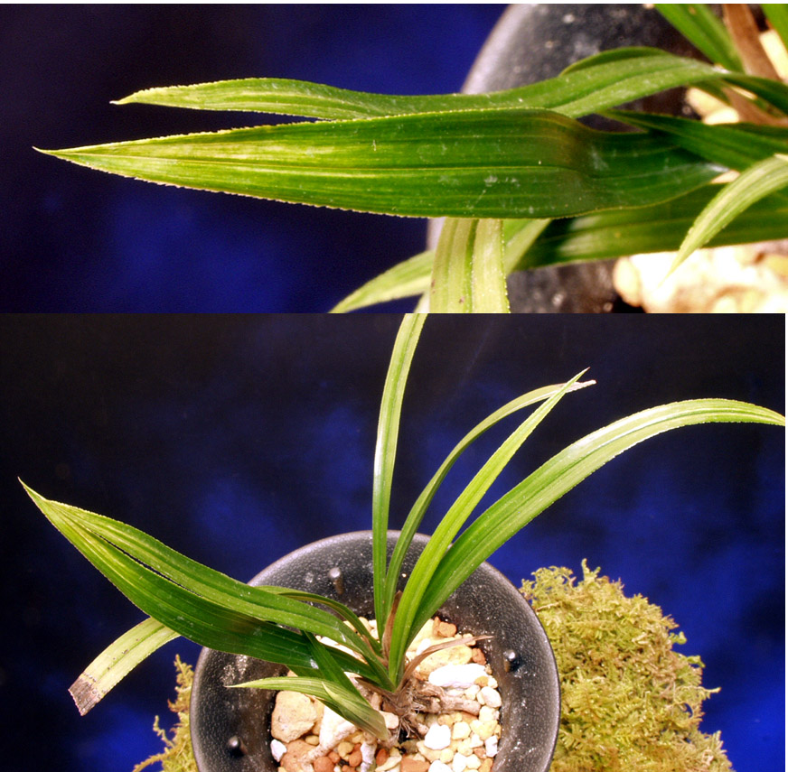 ������ ū������ �� �� �ֽ��ϴ�.