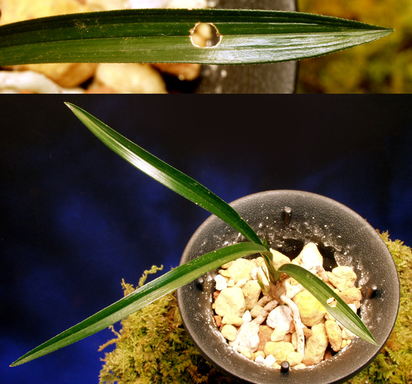 ������ ū������ �� �� �ֽ��ϴ�.