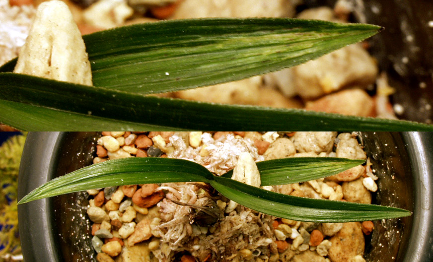 ������ ū������ �� �� �ֽ��ϴ�.