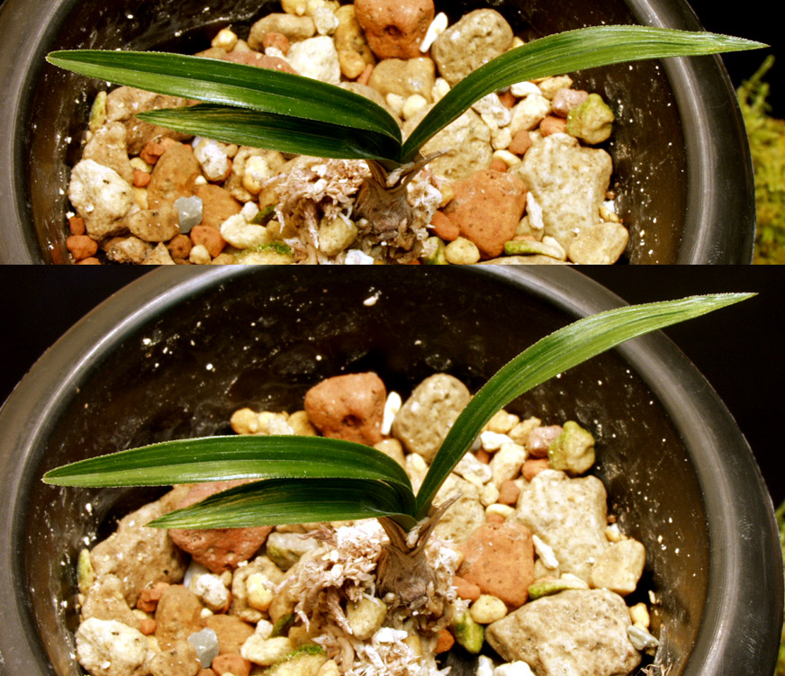 ������ ū������ �� �� �ֽ��ϴ�.