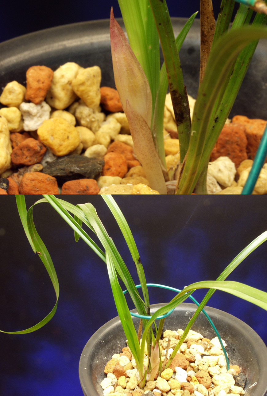 ������ ū������ �� �� �ֽ��ϴ�.