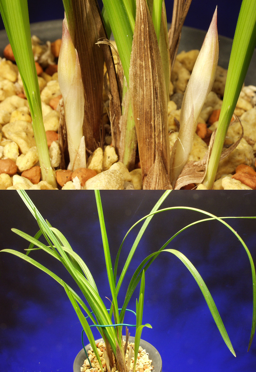 ������ ū������ �� �� �ֽ��ϴ�.