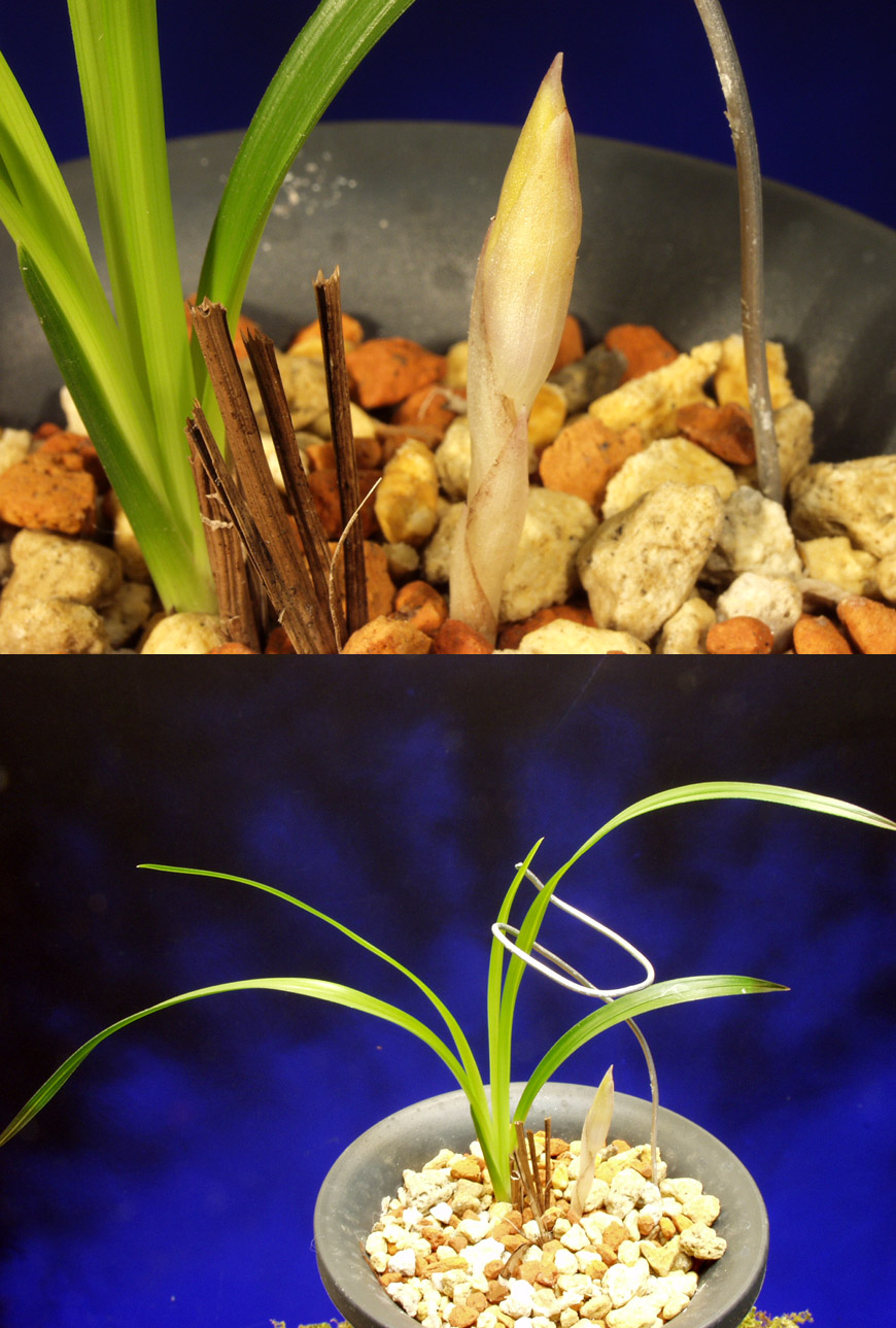 ������ ū������ �� �� �ֽ��ϴ�.