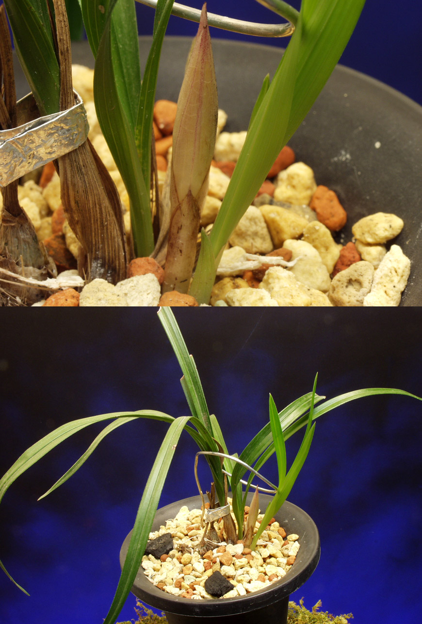 ������ ū������ �� �� �ֽ��ϴ�.