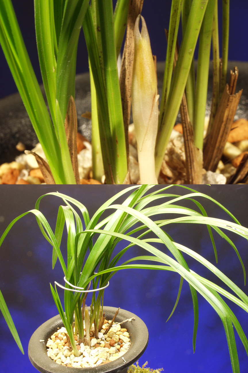 ������ ū������ �� �� �ֽ��ϴ�.