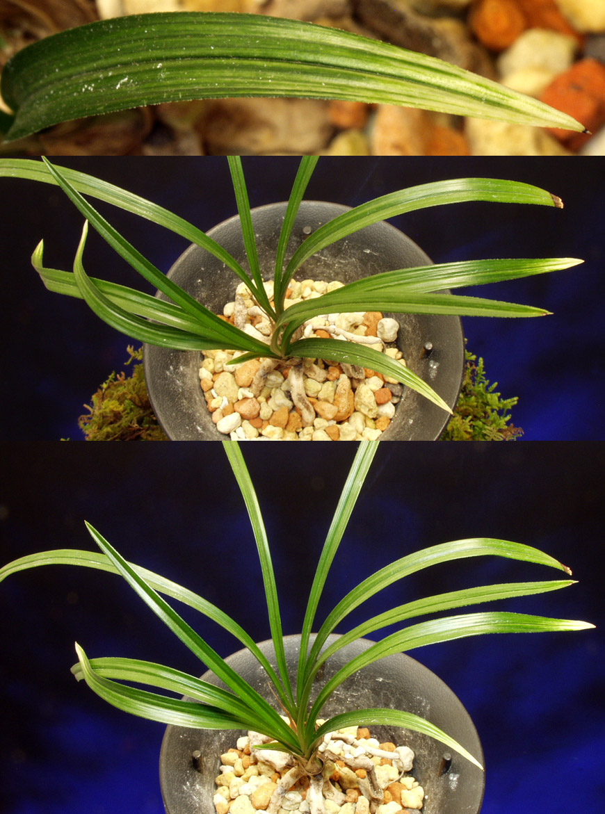 ������ ū������ �� �� �ֽ��ϴ�.