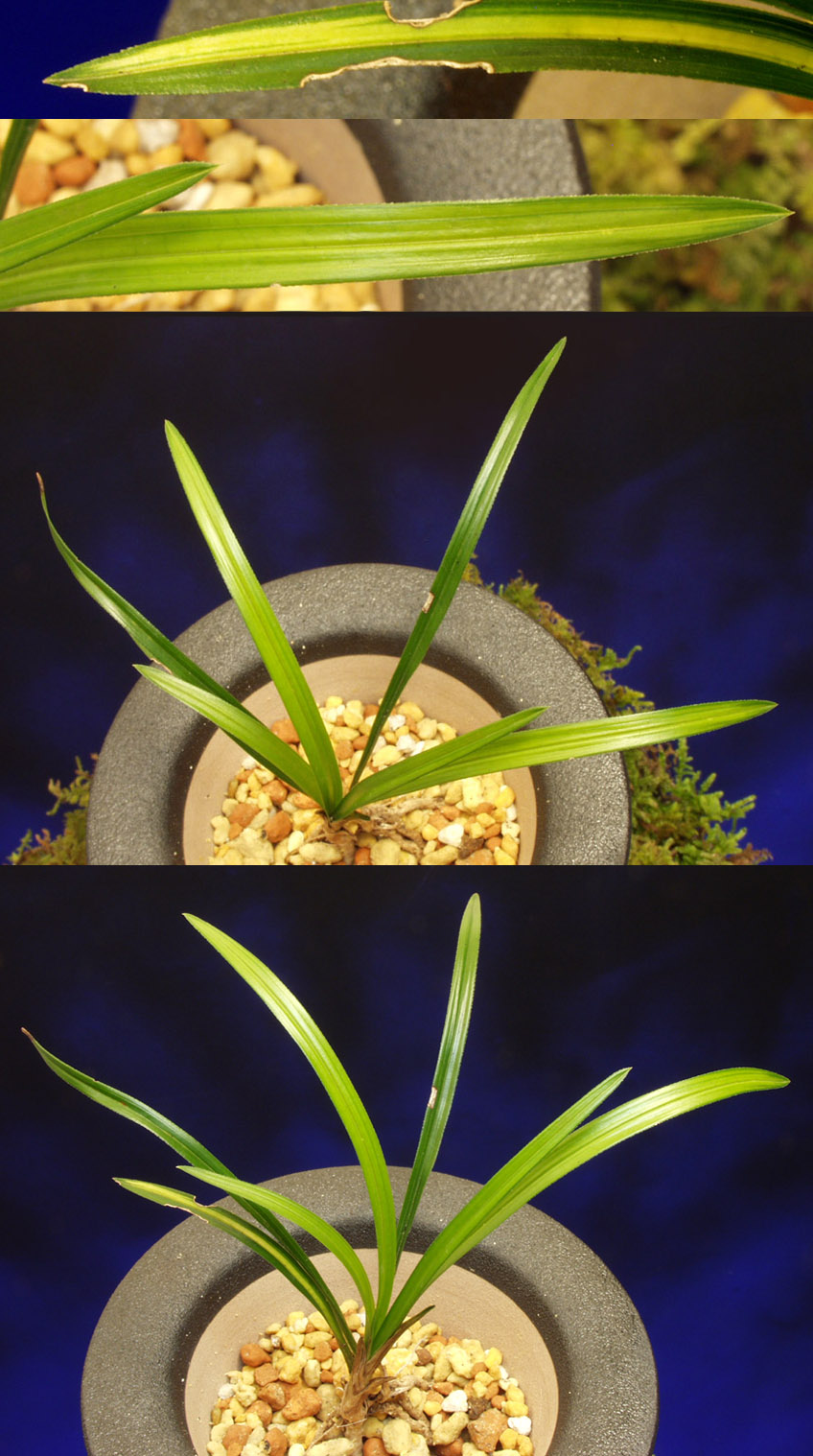 ������ ū������ �� �� �ֽ��ϴ�.