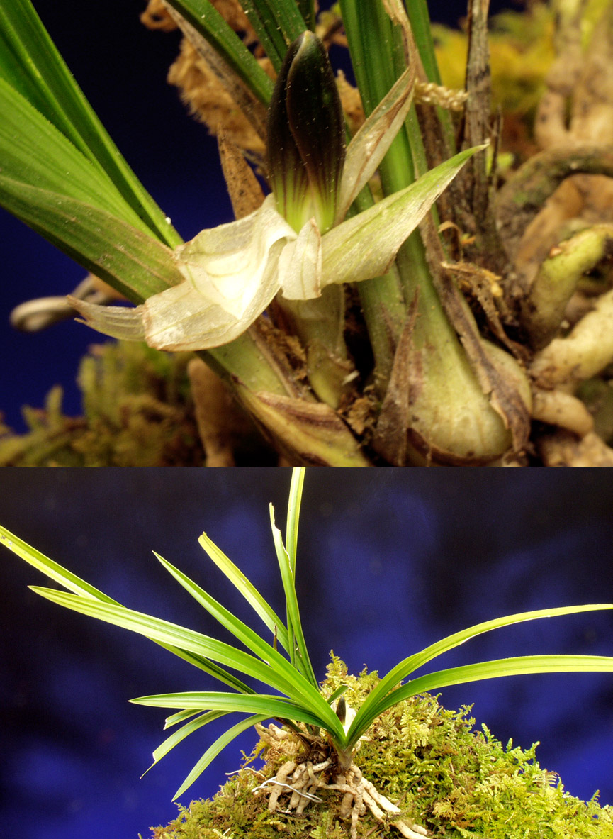 ������ ū������ �� �� �ֽ��ϴ�.