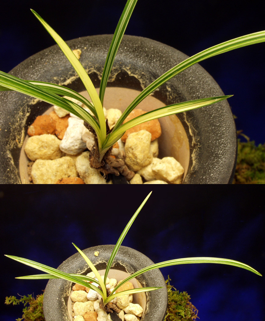 ������ ū������ �� �� �ֽ��ϴ�.