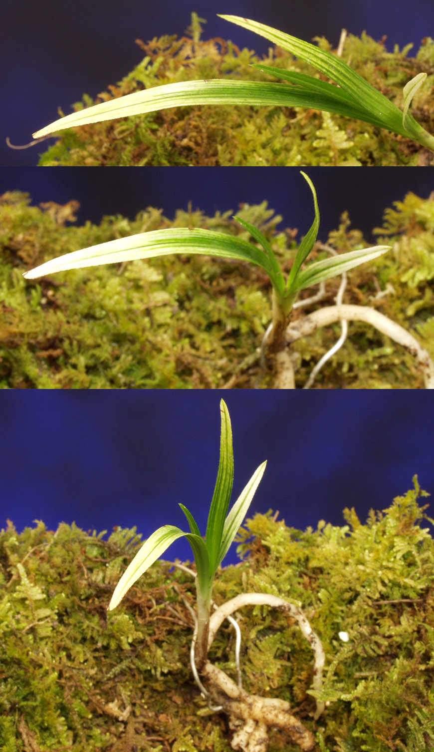 ������ ū������ �� �� �ֽ��ϴ�.