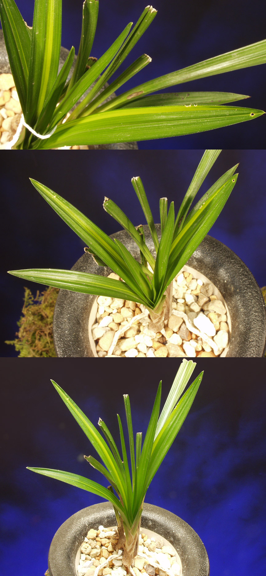 ������ ū������ �� �� �ֽ��ϴ�.