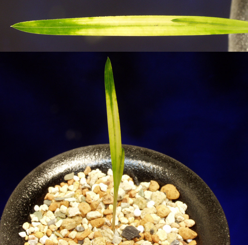 ������ ū������ �� �� �ֽ��ϴ�.