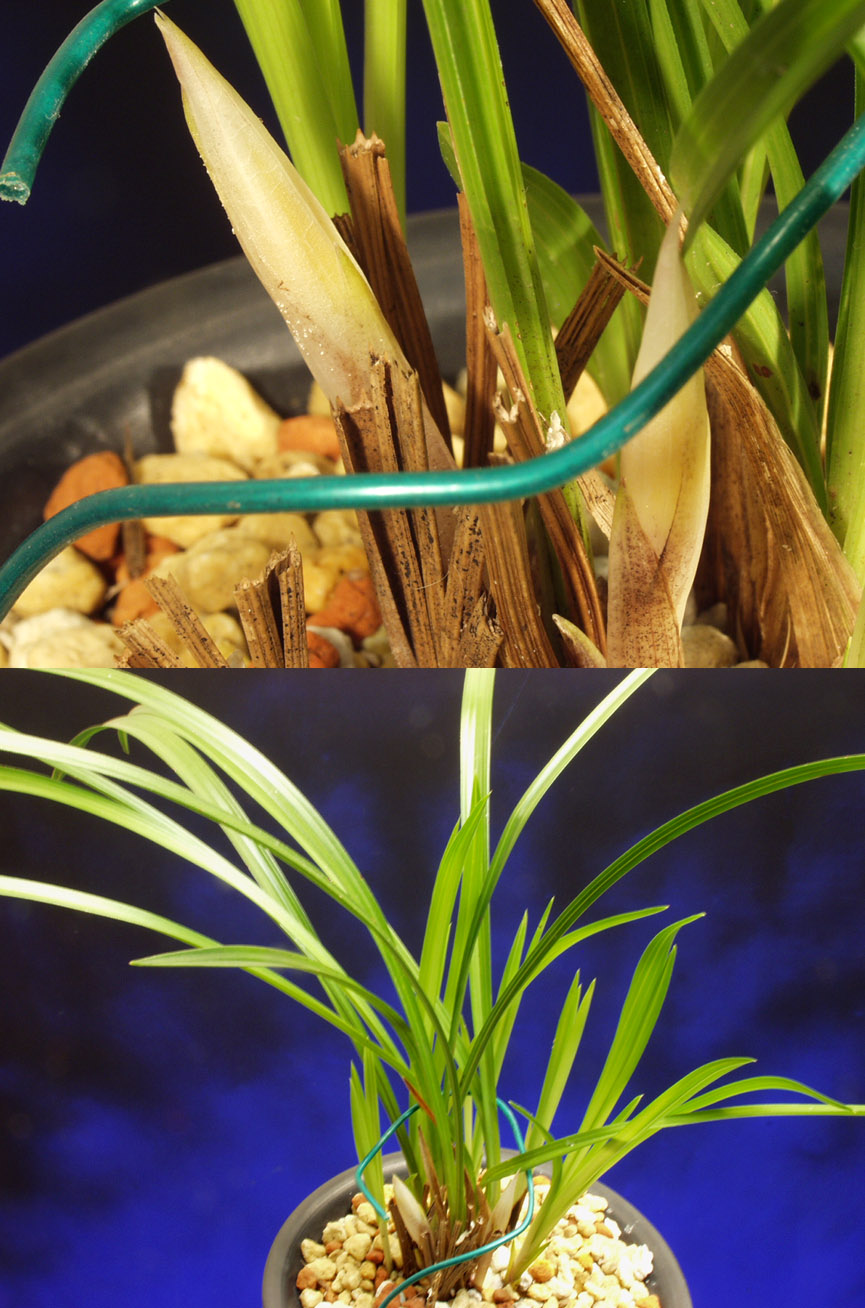 ������ ū������ �� �� �ֽ��ϴ�.