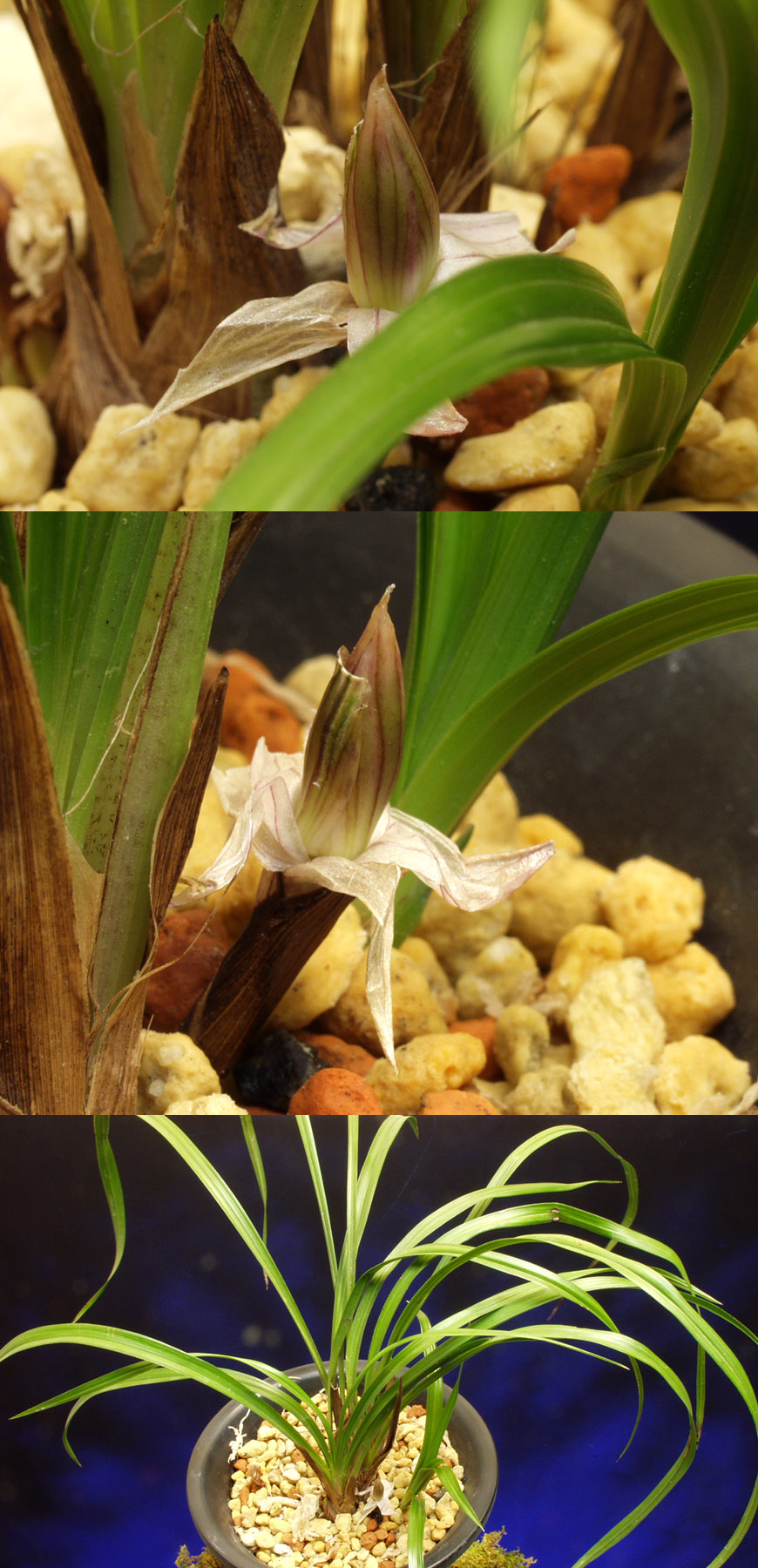 ������ ū������ �� �� �ֽ��ϴ�.