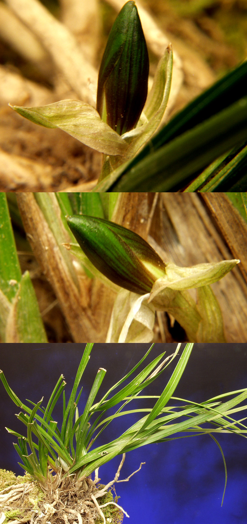 ������ ū������ �� �� �ֽ��ϴ�.