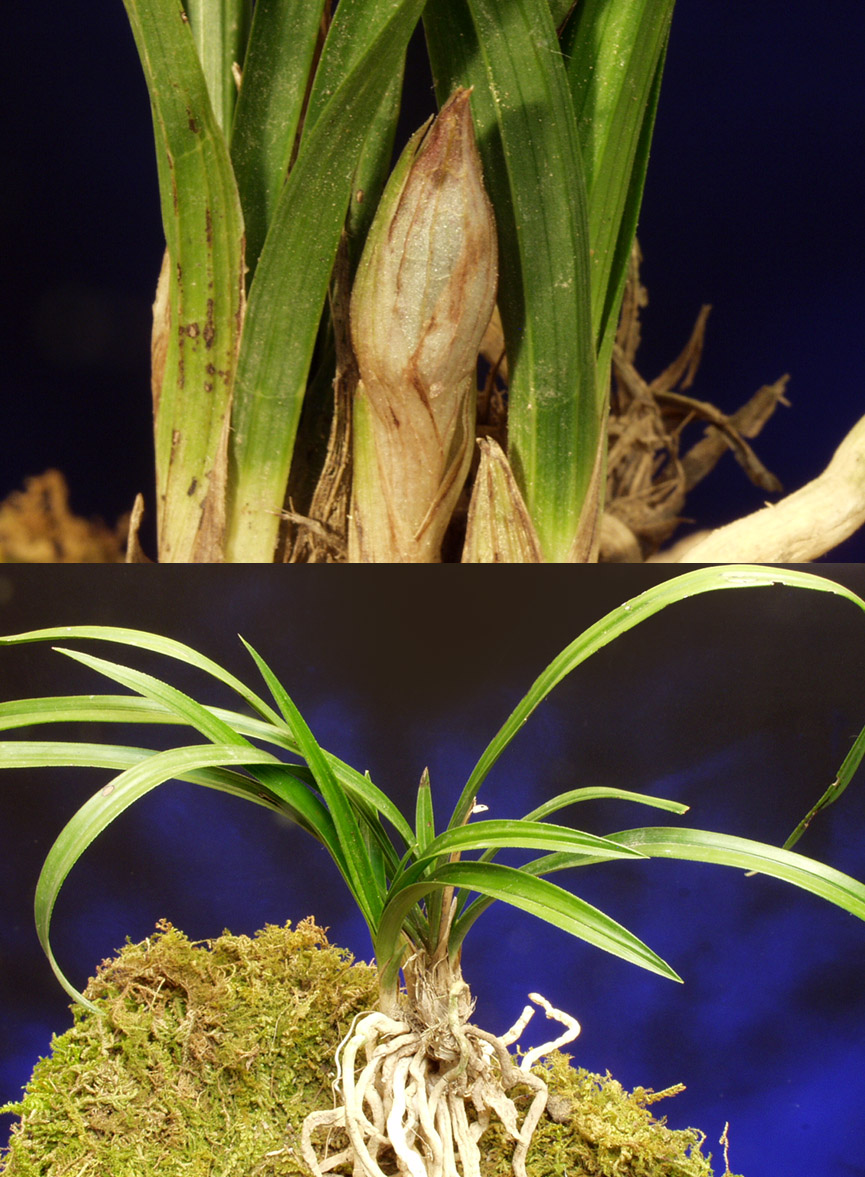 ������ ū������ �� �� �ֽ��ϴ�.