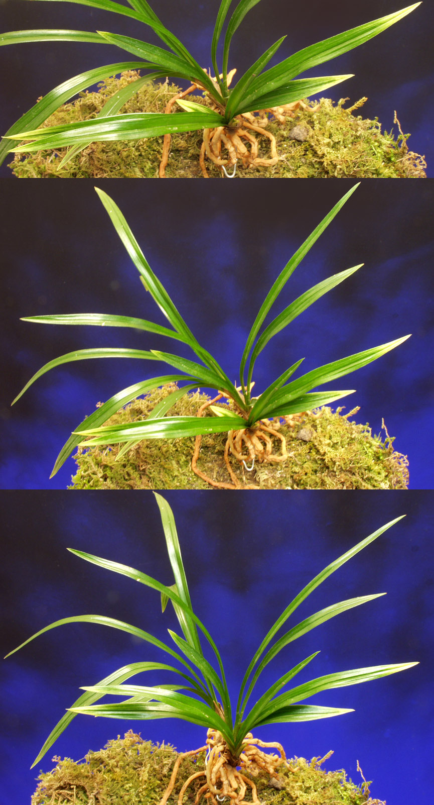 ������ ū������ �� �� �ֽ��ϴ�.