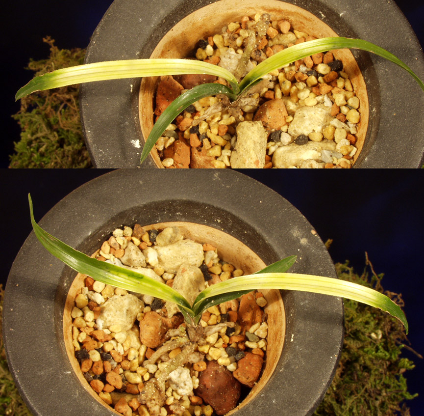 ������ ū������ �� �� �ֽ��ϴ�.