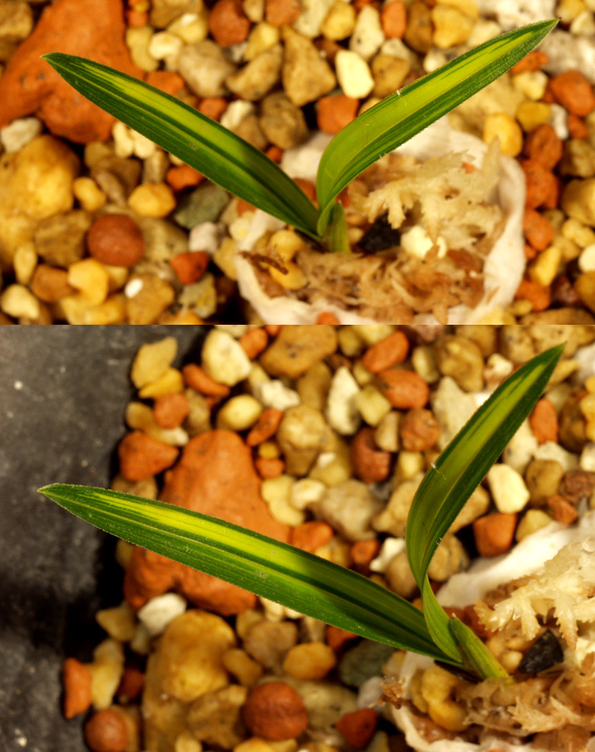 ������ ū������ �� �� �ֽ��ϴ�.